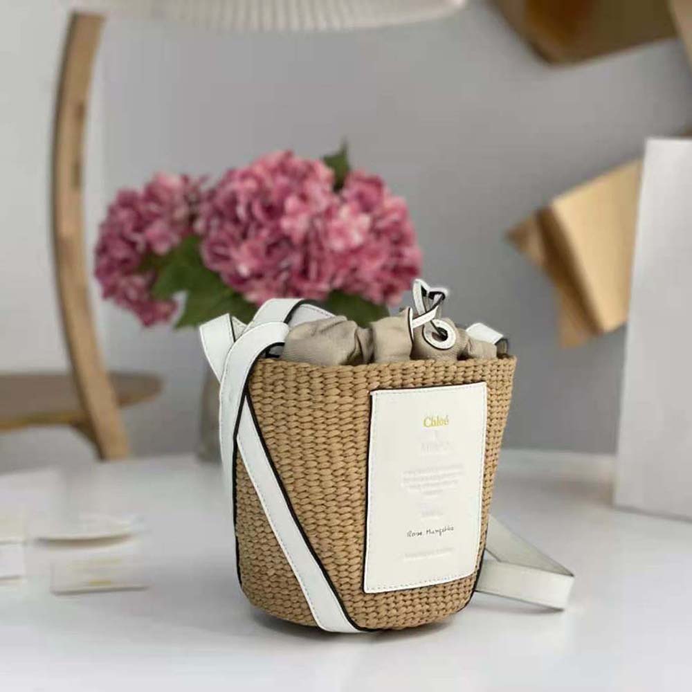 Side angle showcasing the compact silhouette of Chloe Women Small Basket