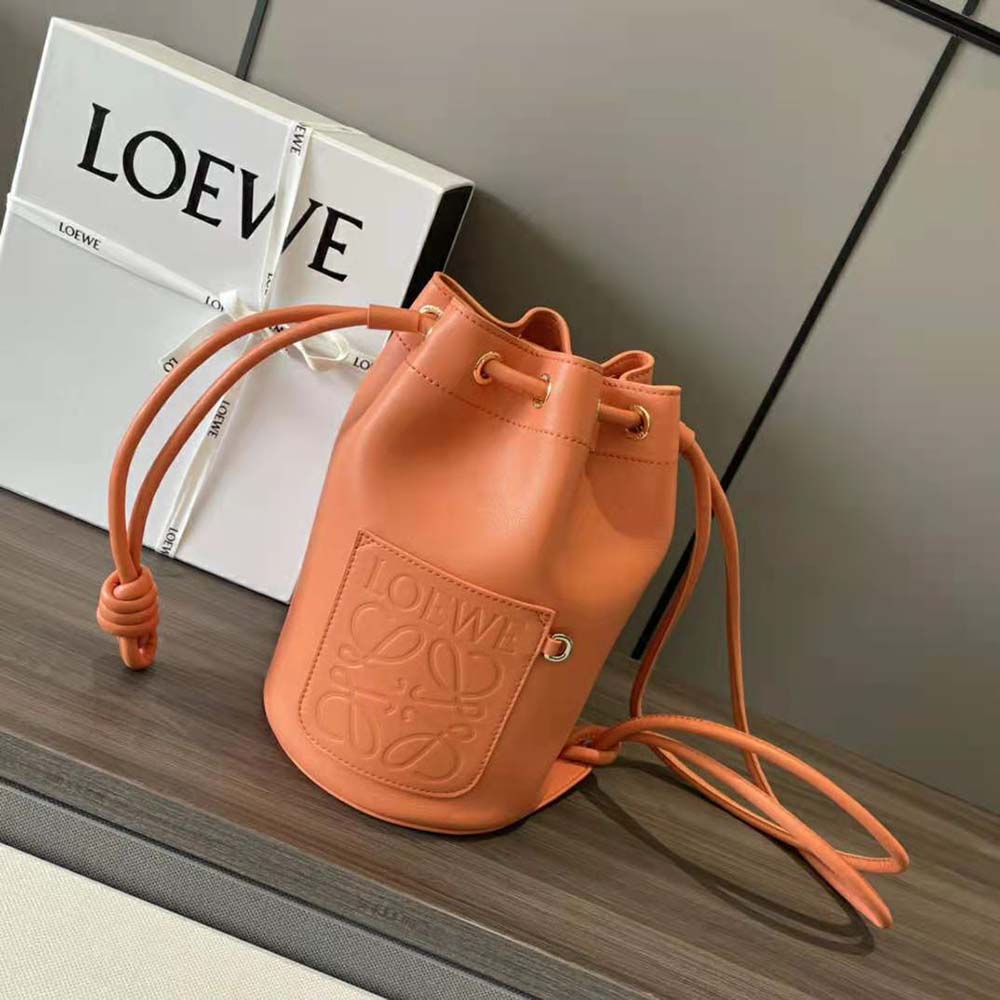 Close-up of gold-tone hardware on Loewe Women Small Sailor Bag