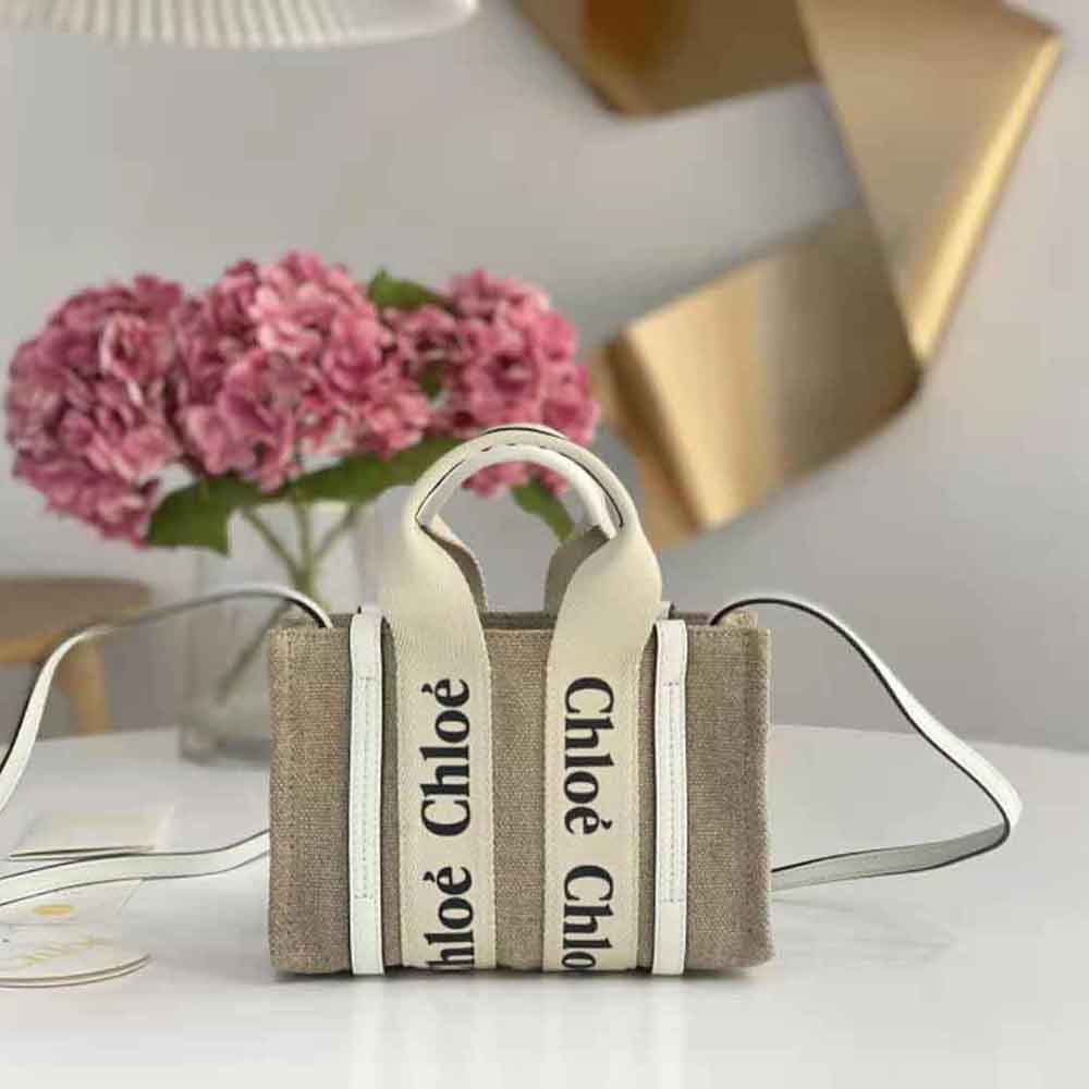 Close-up of wooden handle and gold hardware on Chloe Women Mini Woody Tote Bag-White