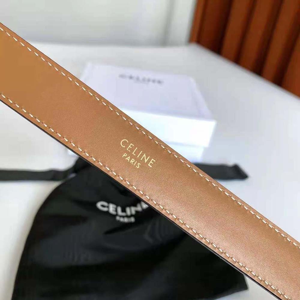 Celine Women Medium Triomphe Belt in Triomphe Canvas and Calfskin - image 7