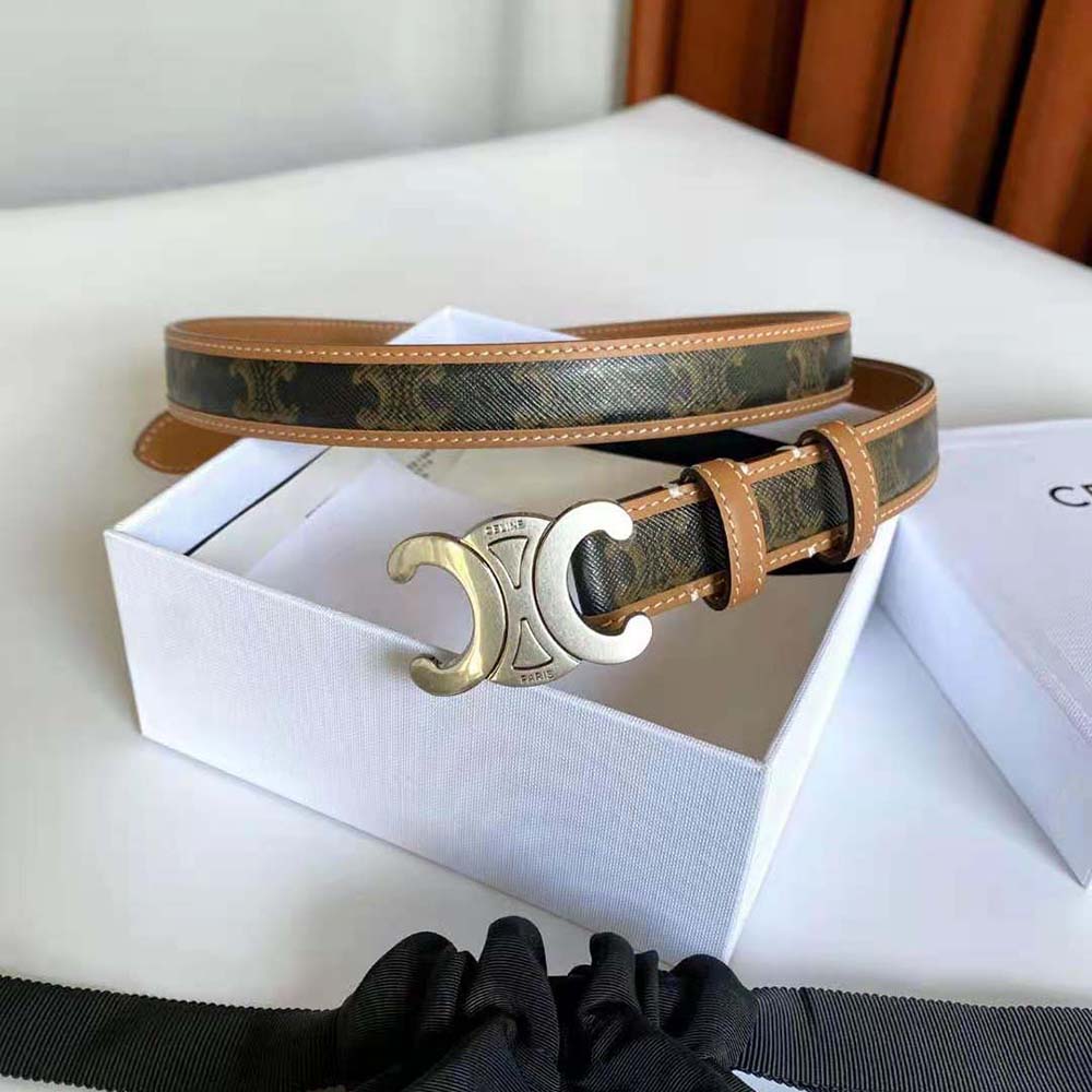 Celine Women Medium with Bborder Triomphe Belt in Triomphe Canvas and Calfskin - image 4