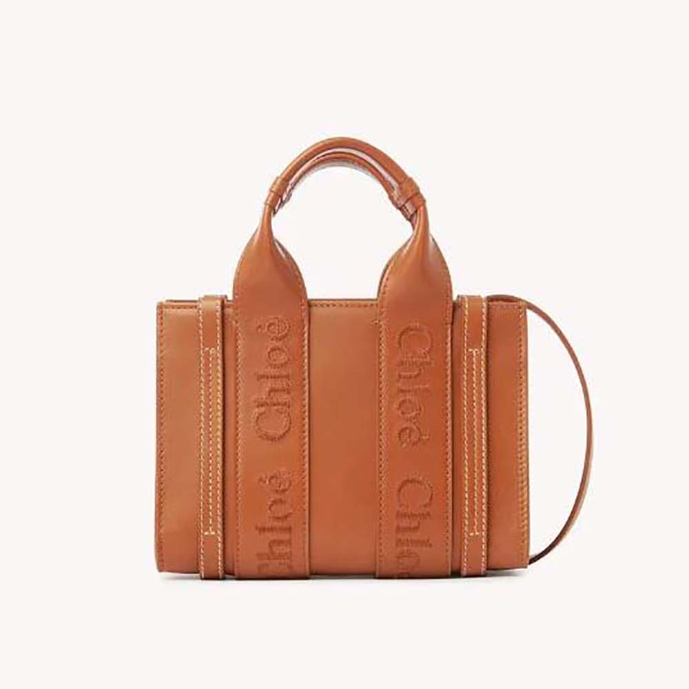 Front view of Chloe Women Mini Woody Tote Bag-Brown with wooden accents