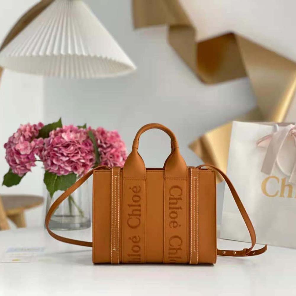 Close-up of gold hardware and smooth leather on Chloe Mini Woody Tote Bag