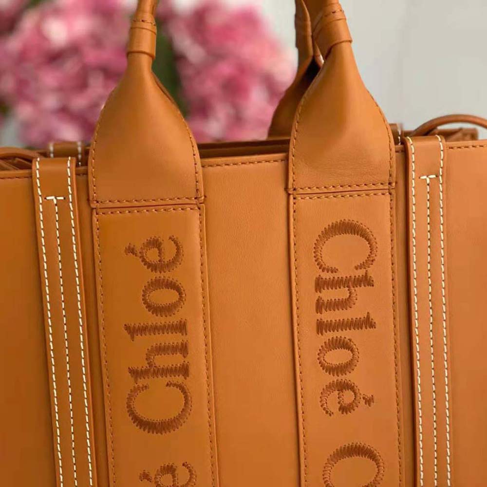 Chloe Women Mini Woody Tote Bag-Brown - image 10