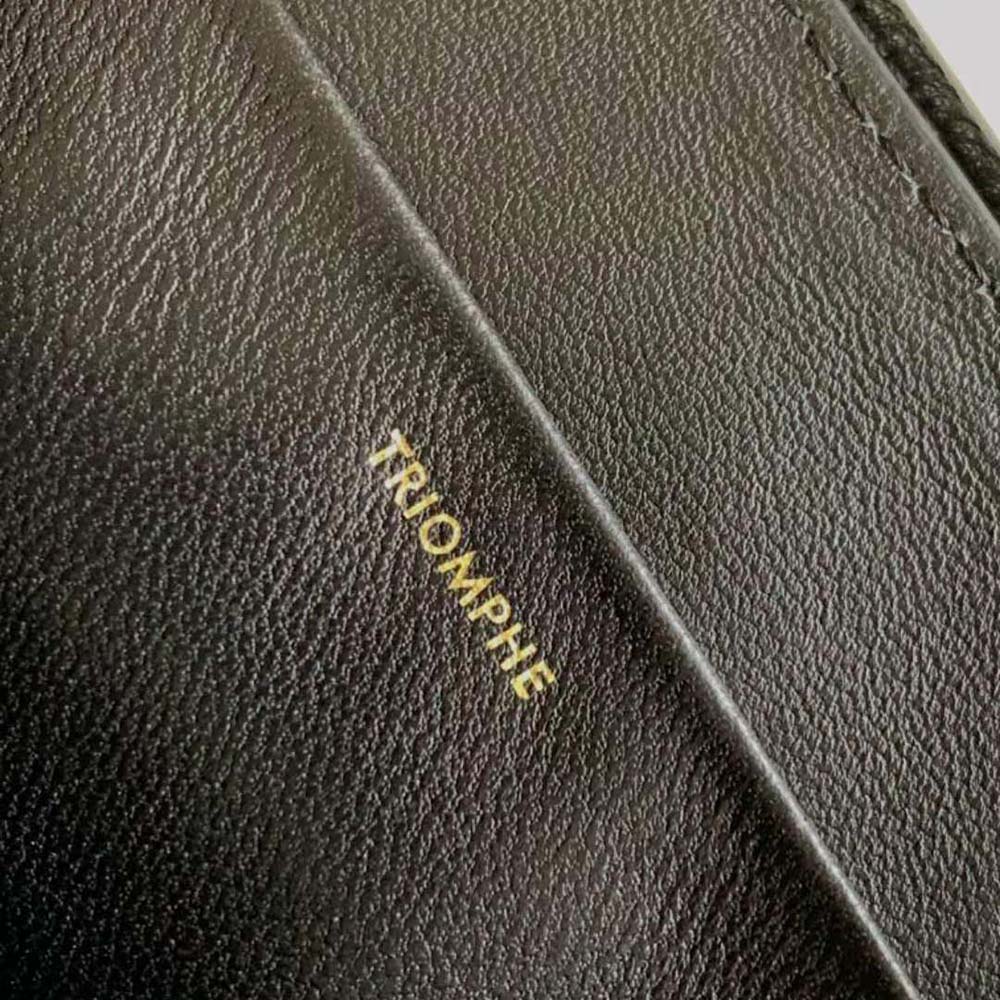 Celine Women Medium Bag Triomphe Frame in Shiny Calfskin-Black - image 9