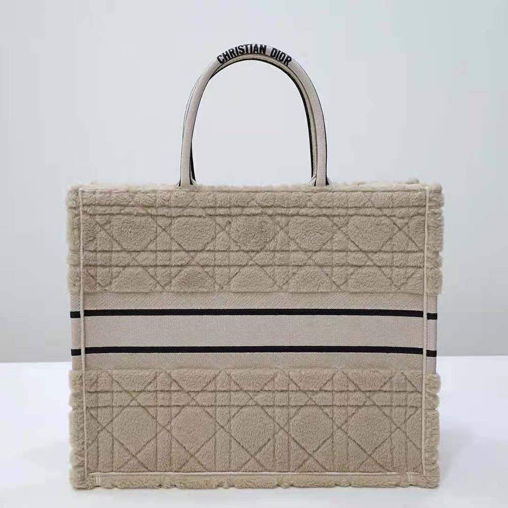 Side angle showing spacious interior and silver hardware on Dior tote