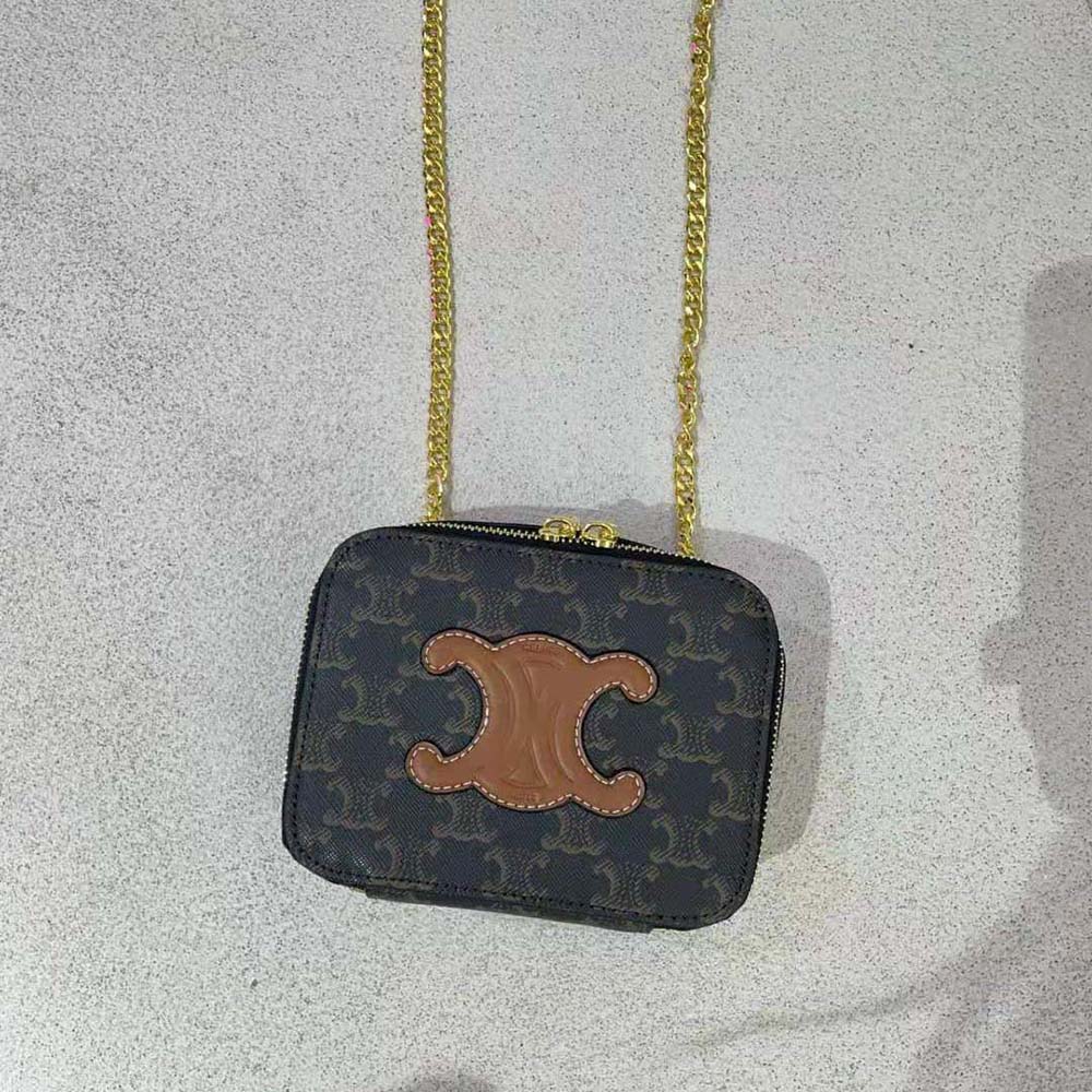 Close-up of gold-tone clasp and Triomphe canvas on Celine bag
