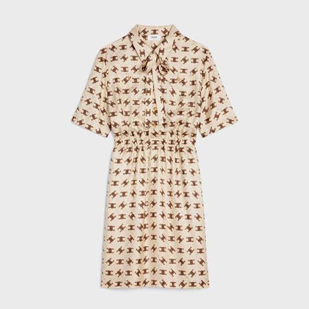 Front view of Celine Women Lavallière Dress in Shiny Matte Silk in brown