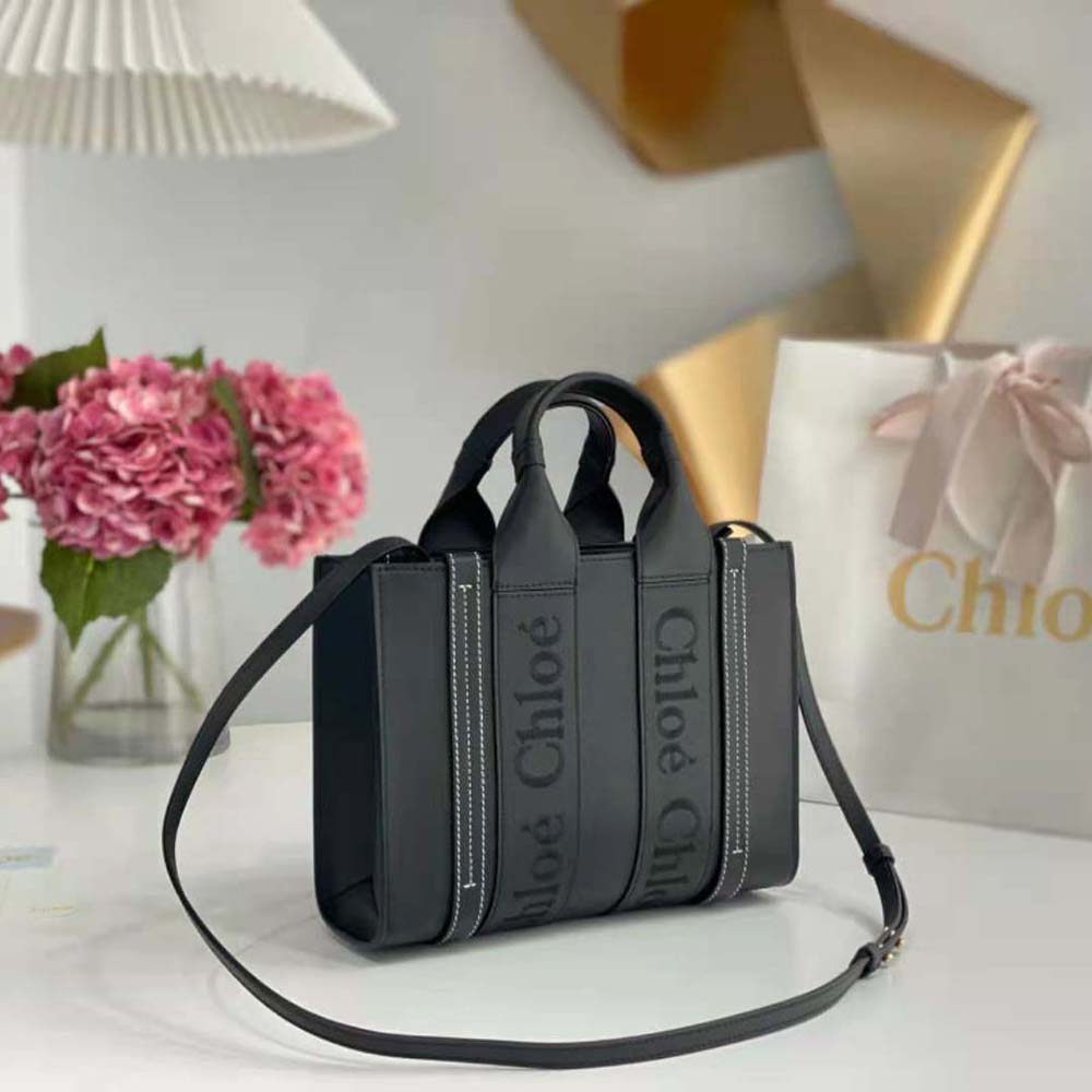 Side angle showing smooth leather and compact silhouette of Chloe Women Small Woody Tote