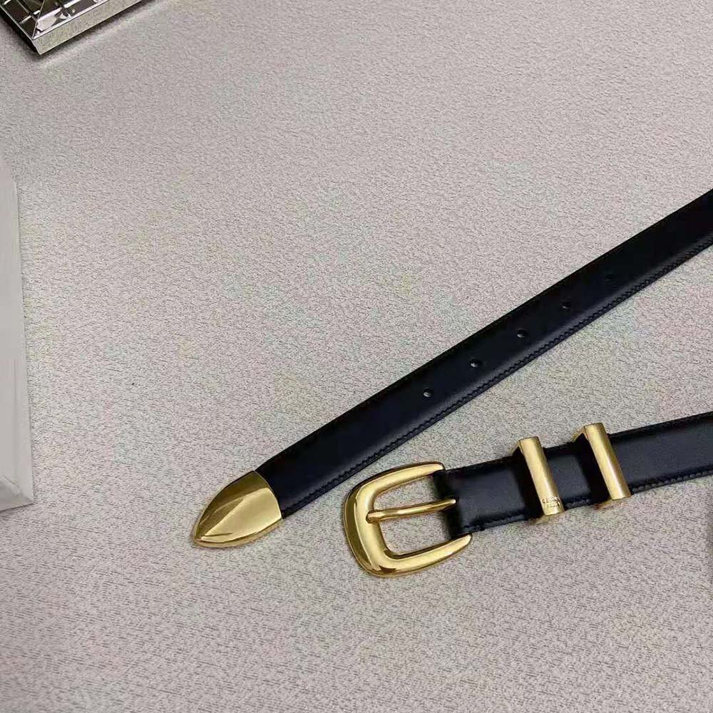 Celine Women Medium Western Belt in Smooth Calfskin-Gold - image 8