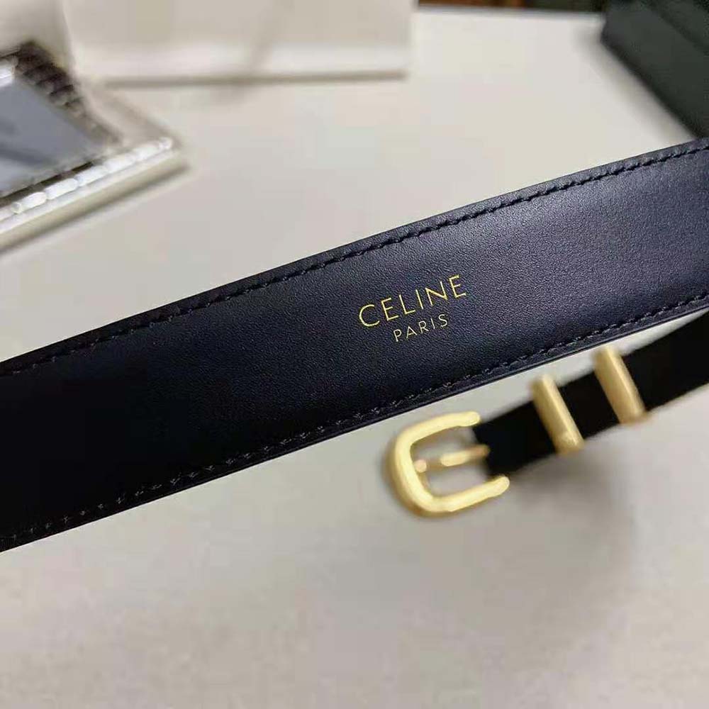 Celine Women Medium Western Belt in Smooth Calfskin-Gold - image 6