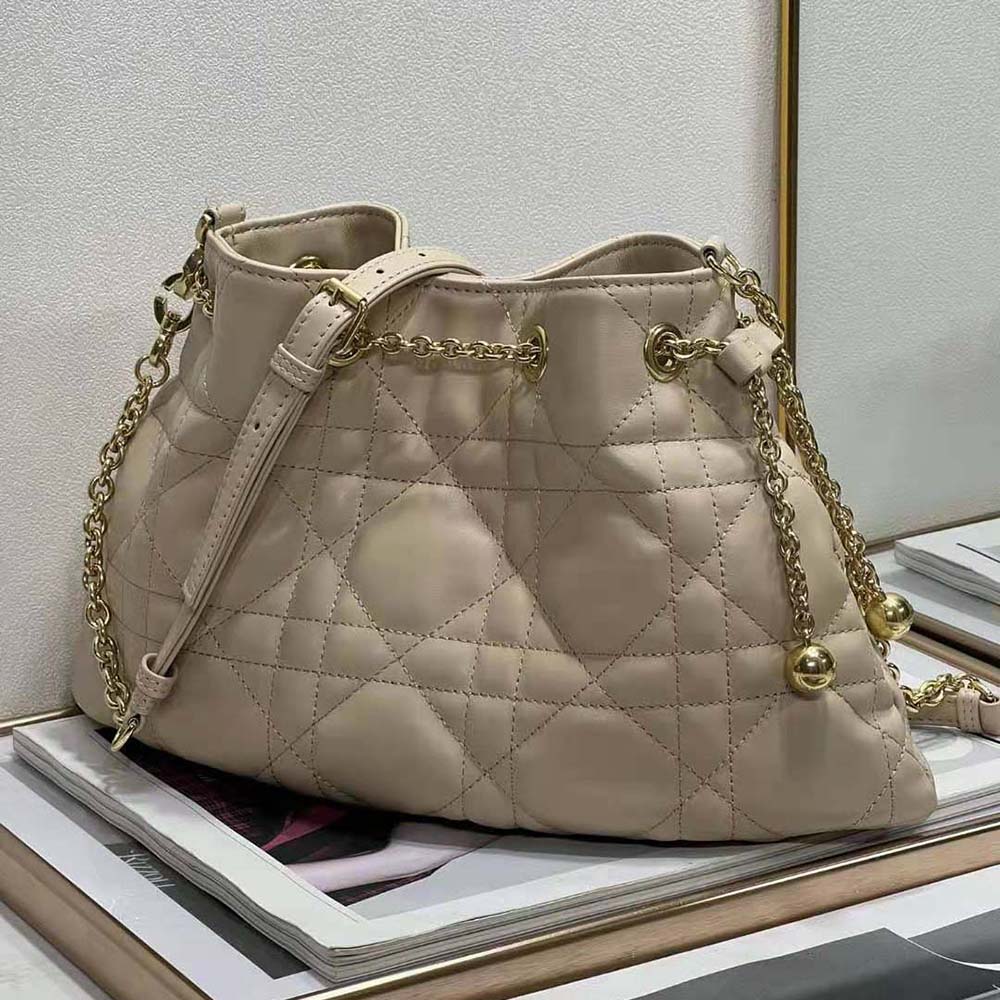Side profile showing soft lambskin texture on Dior Women Medium Dior Ammi Bag