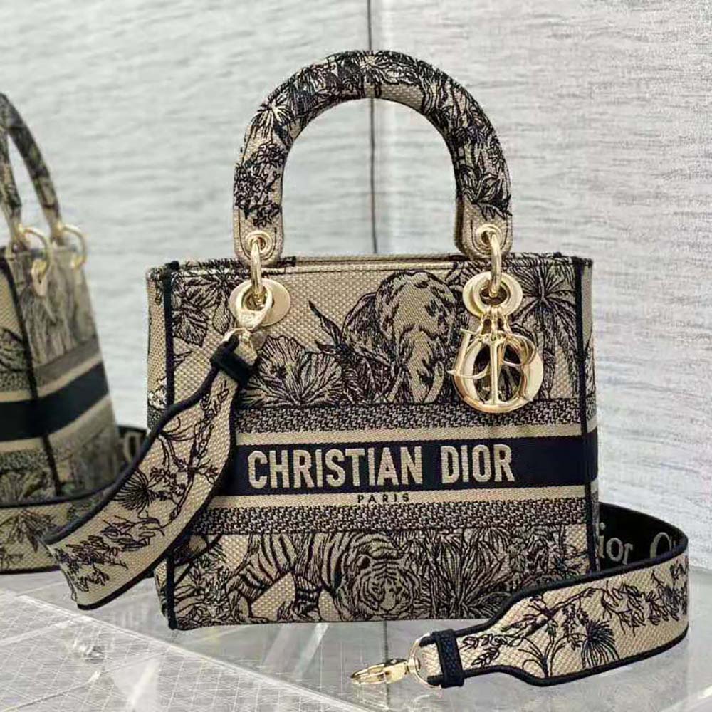 Close-up of embroidered toile de Jouy fabric on Dior Women Medium Lady D-lite Bag