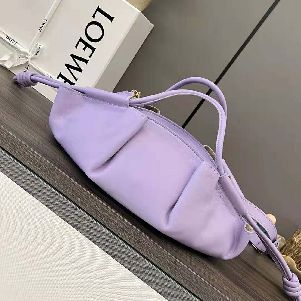 Side view showing silhouette and zip closure of Loewe Women Small Paseo Bag