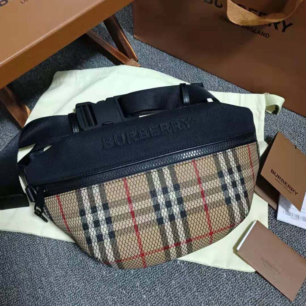 Side angle showing gold-tone hardware and adjustable strap on Sonny Belt Bag