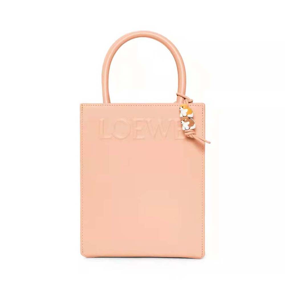 Comprehensive Guide to Loewe Standard A5 Tote: Design, Sizes & Care