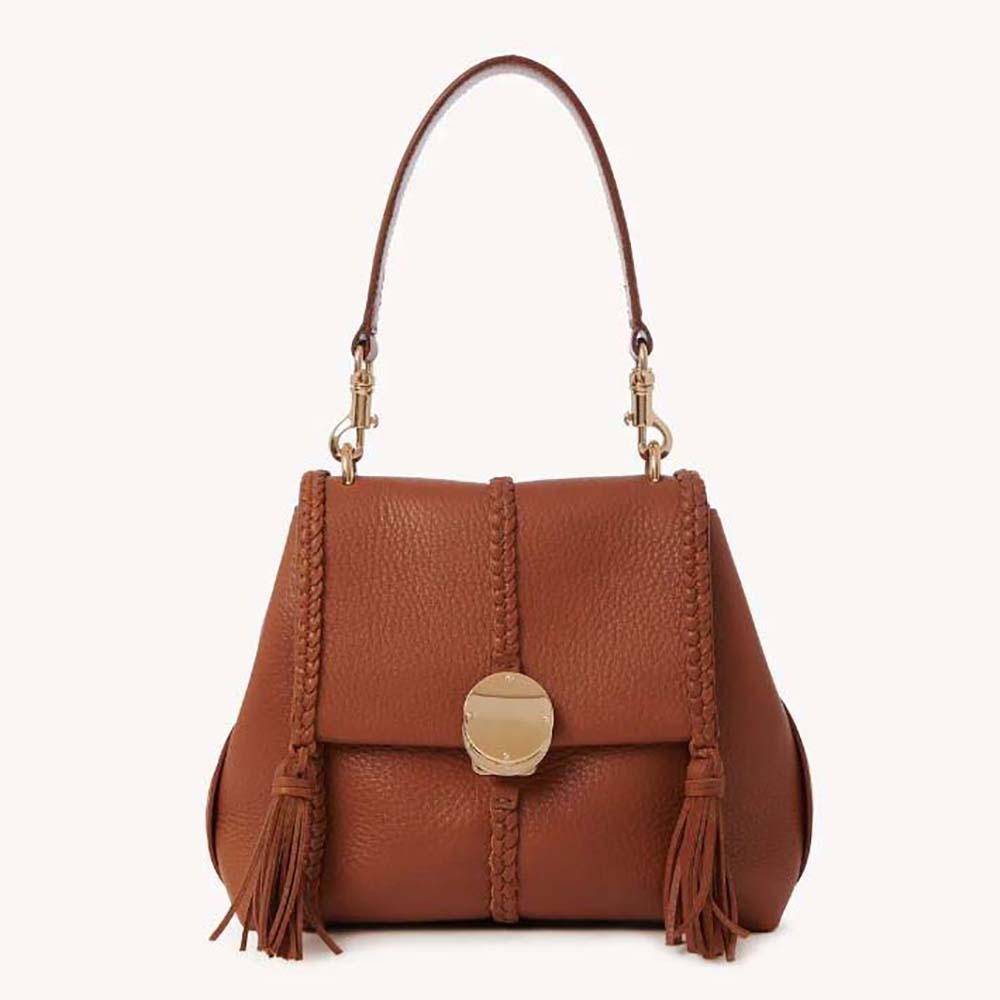 Front view of Chloe Women Penelope Small Soft Shoulder Bag-Brown with hardware