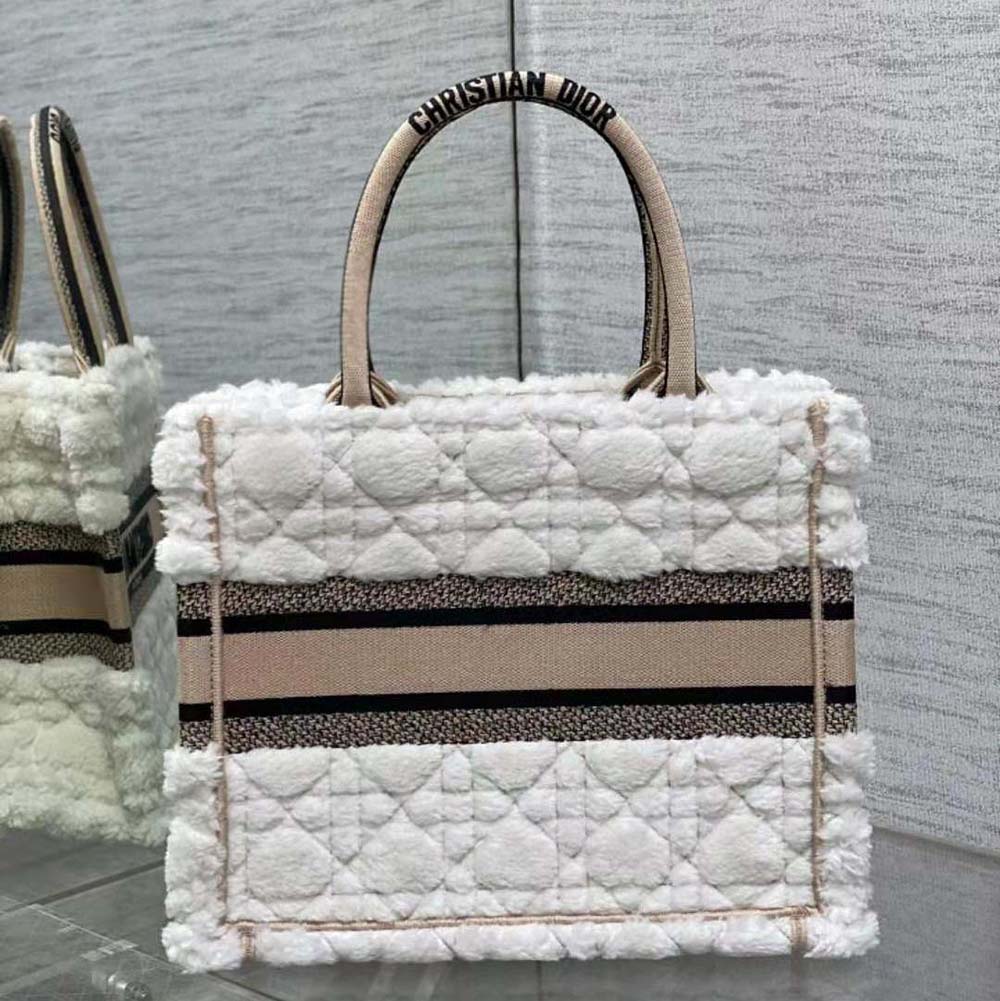 Side angle showing silhouette and silver hardware on Dior Book Tote