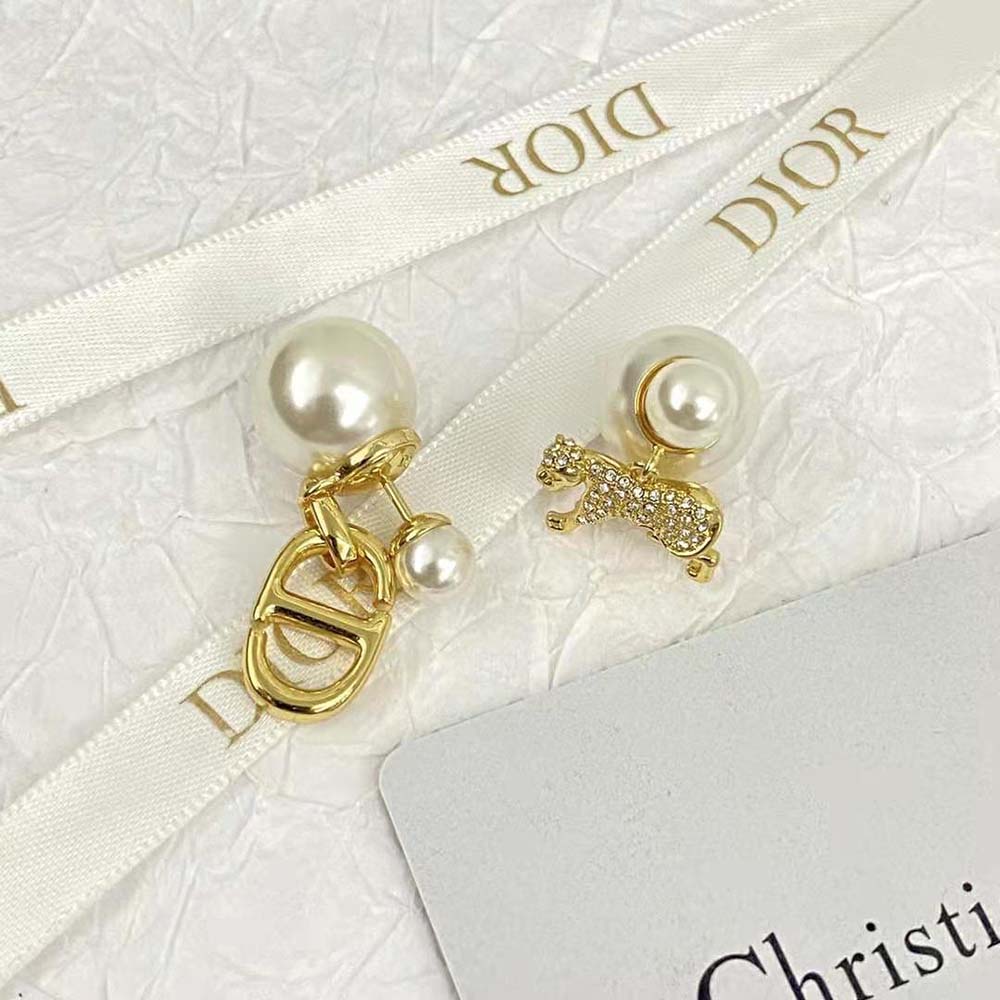 Dior Women Tribales Earrings displayed on white background capturing lustrous finish