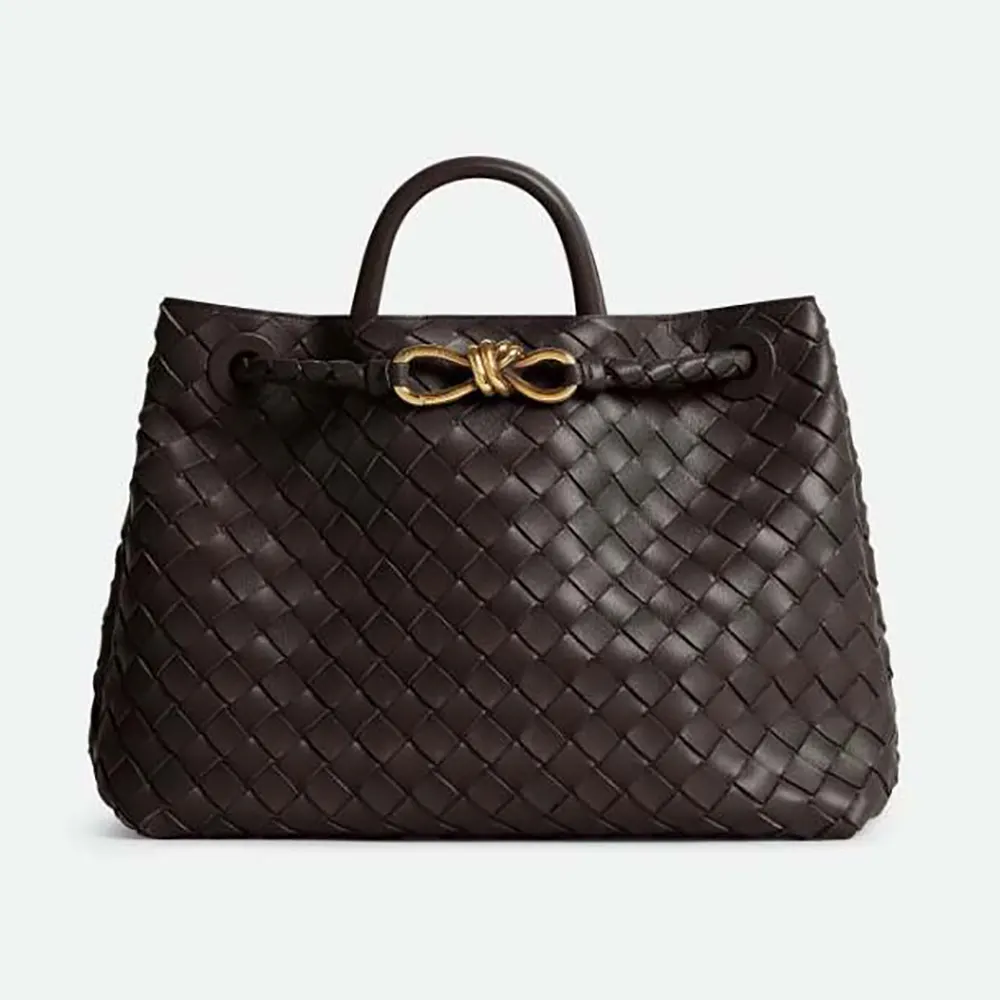 Front view of Bottega Veneta Women Medium Andiamo in Lambskin Leather-Chocolate Brown