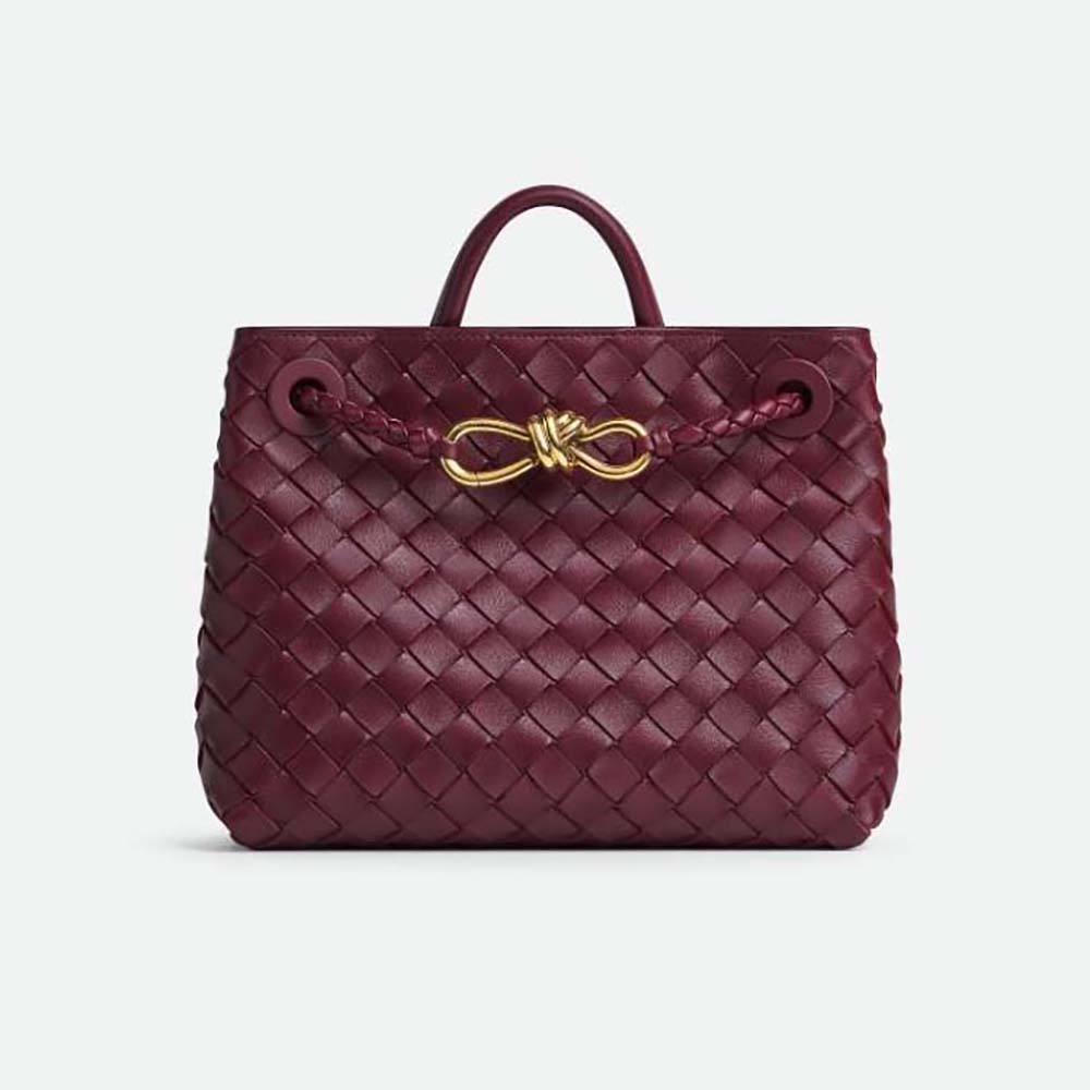 Front view of Bottega Veneta Women Small Andiamo lambskin leather bag maroon