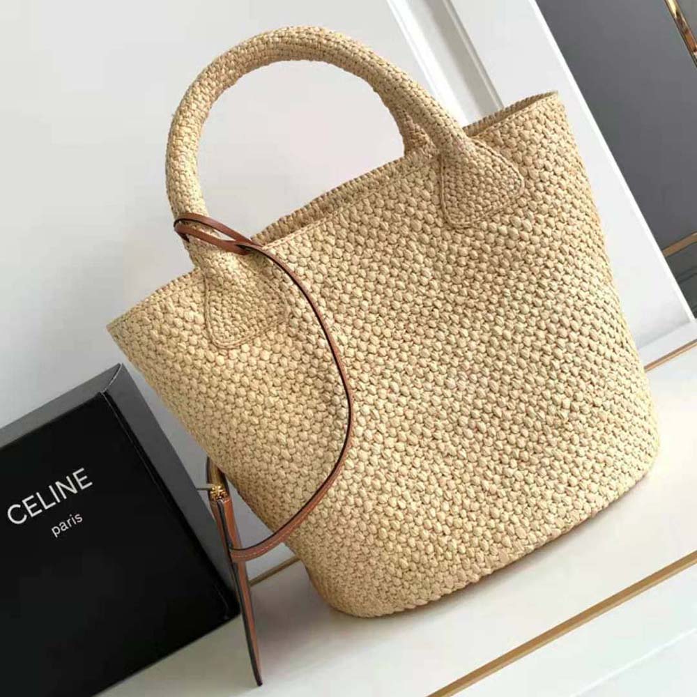 Side angle showing gold Triomphe clasp on Celine Small Triomphe Panier