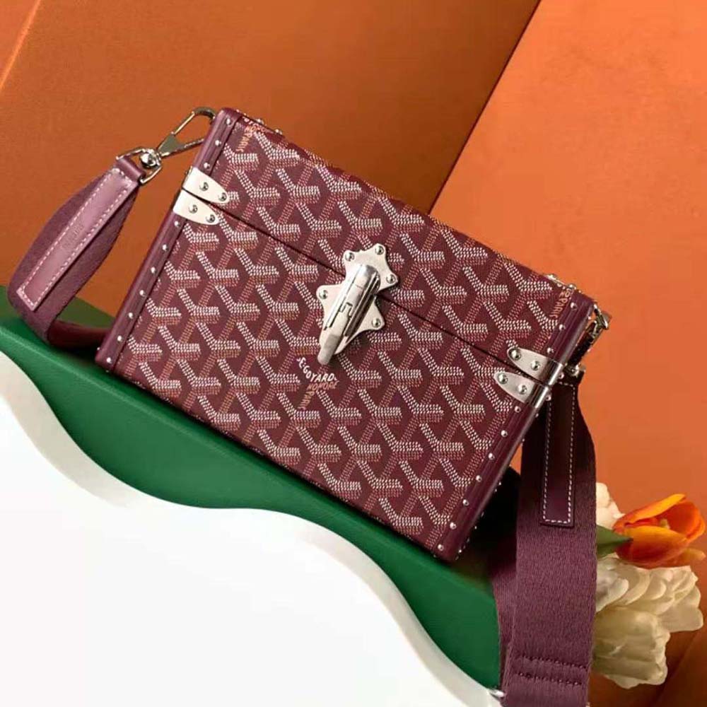 Close-up of gold hardware and Clamecy cowhide trim on Goyard bag