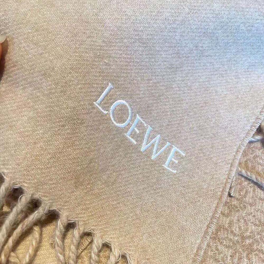 Loewe Unisex Scarf in Wool and Cashmere-Brown - image 9