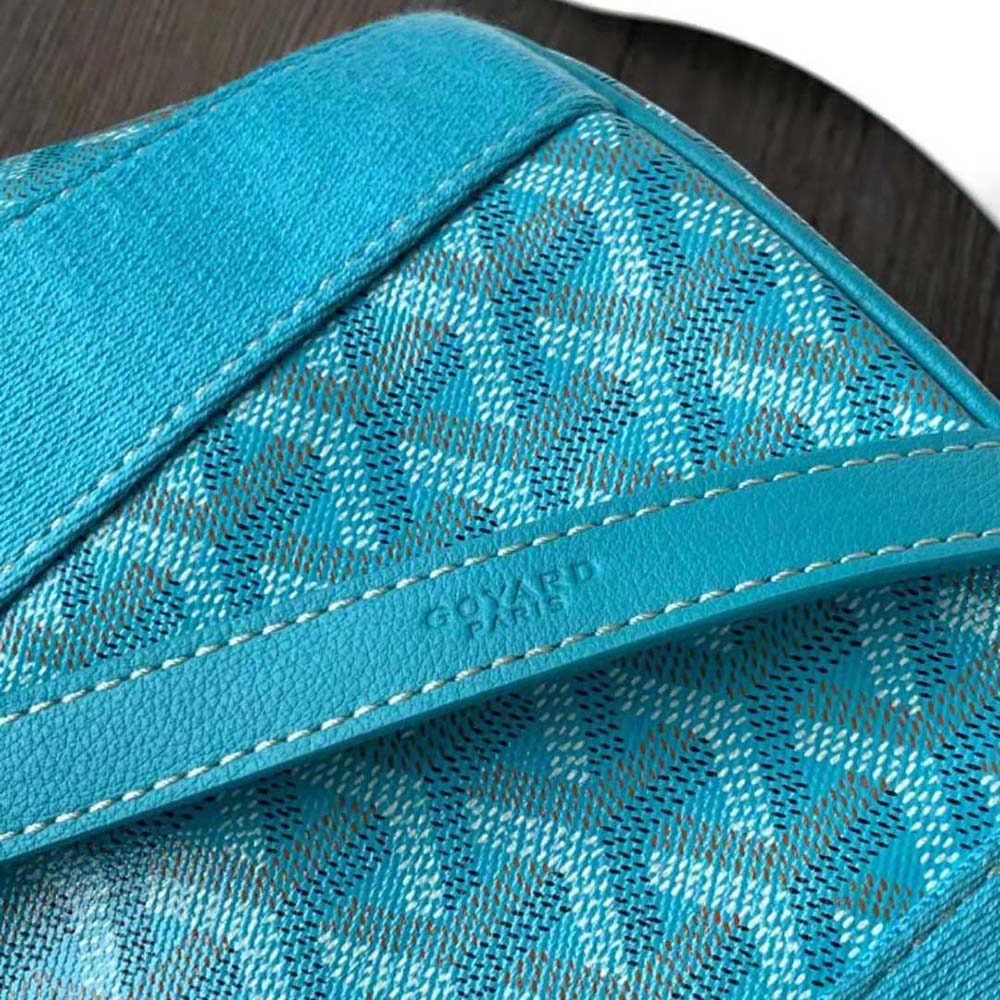 Goyard Women Belharra PM Bag-Blue - image 7