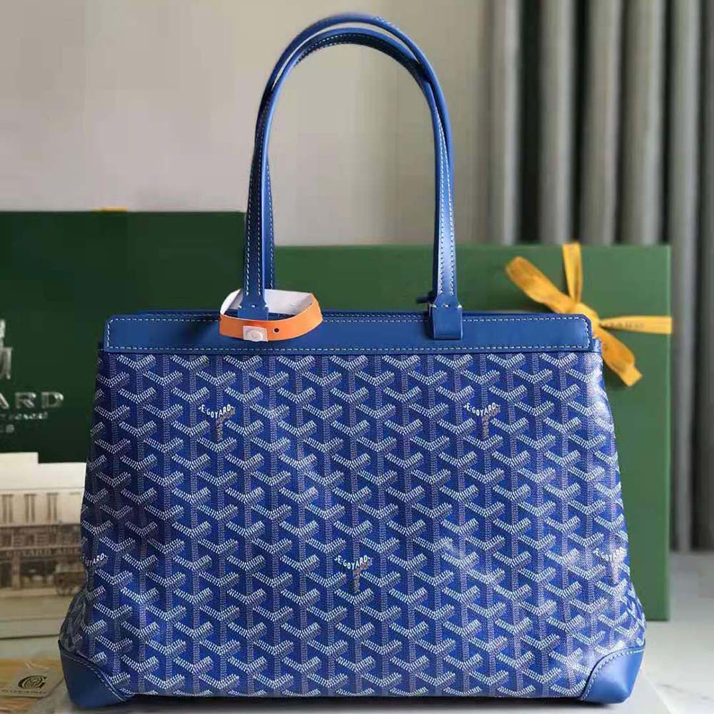 Side angle highlighting brass hardware on Goyard Women Bellechasse Biaude PM Bag