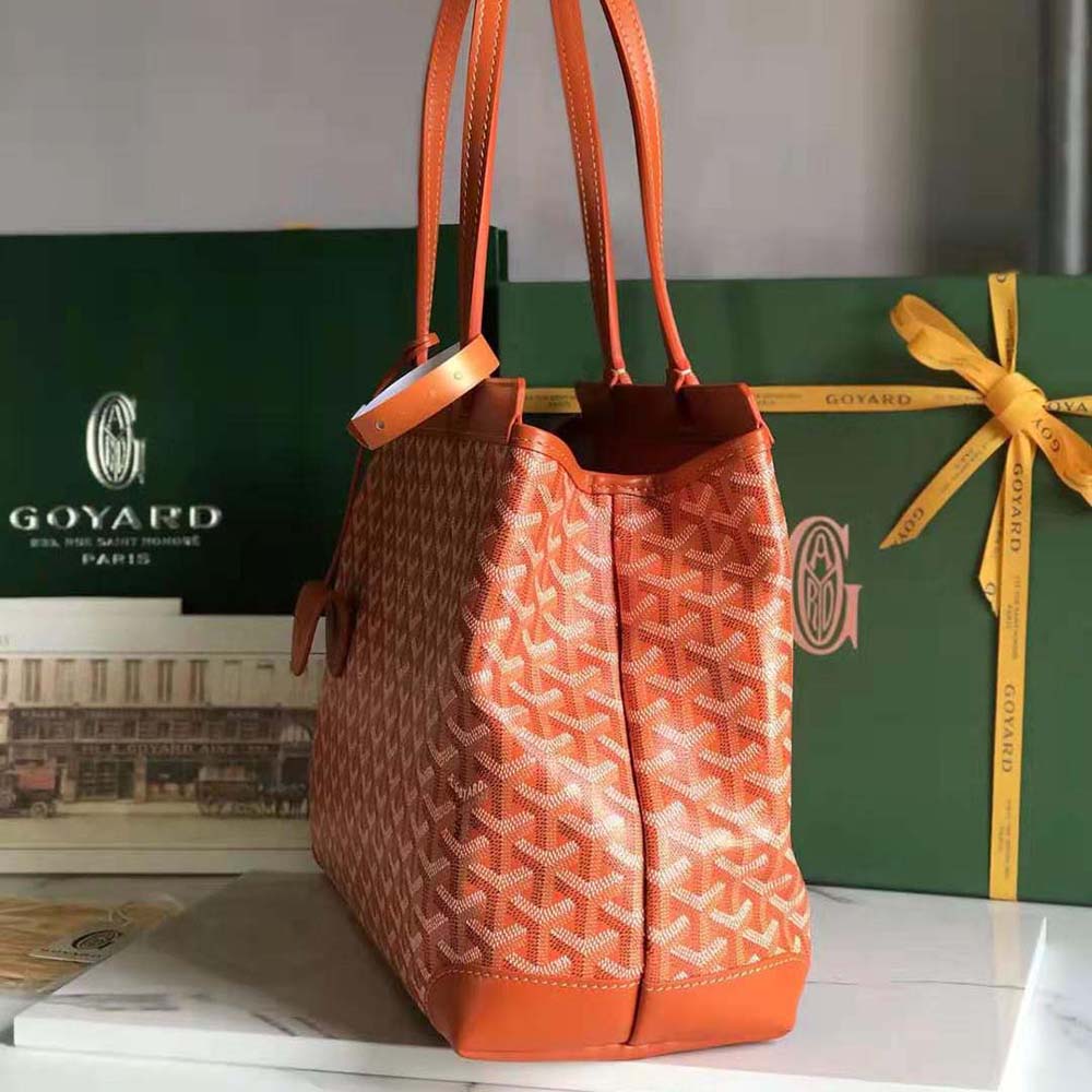 Goyard Women Bellechasse Biaude PM Bag-Orange - image 4