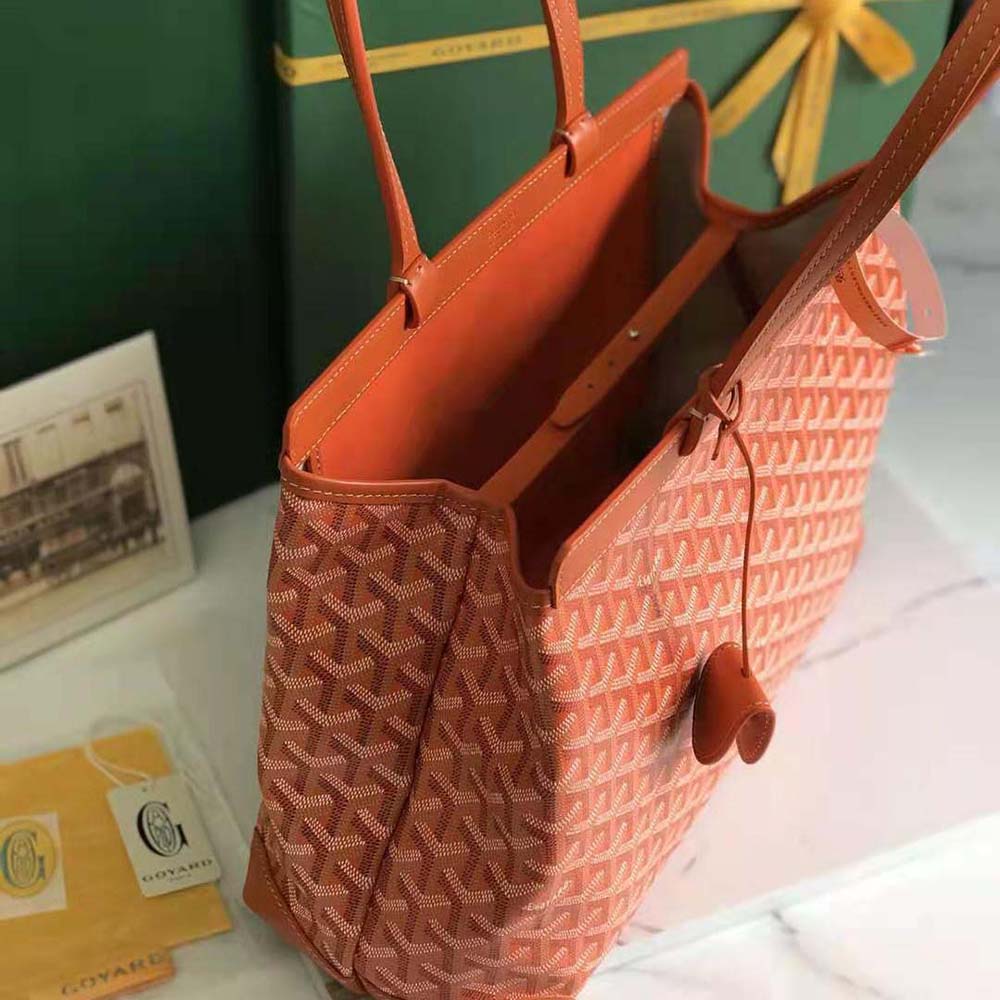 Goyard Women Bellechasse Biaude PM Bag-Orange - image 6