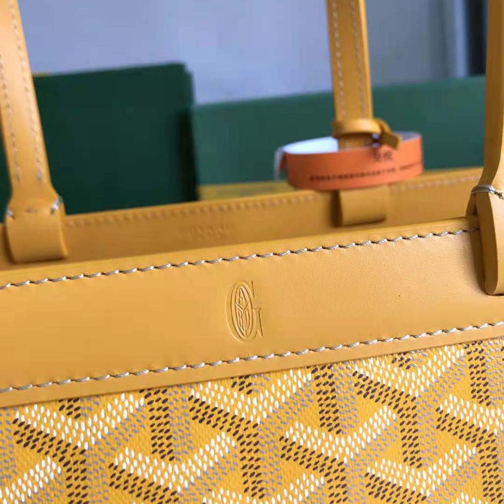 Goyard Women Bellechasse Biaude PM Bag-Yellow - image 5