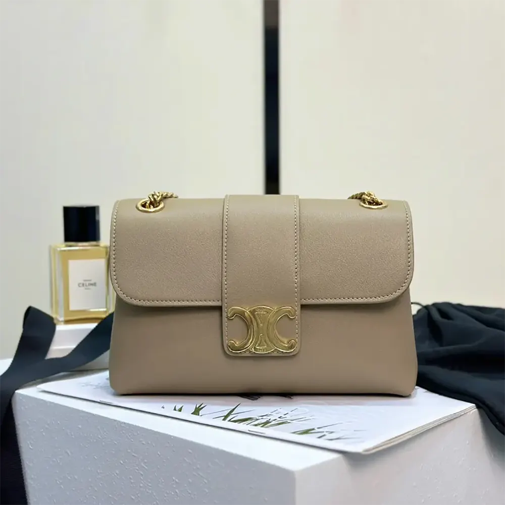 Close-up of gold-tone hardware on Celine Women Medium Celine Victoire Bag