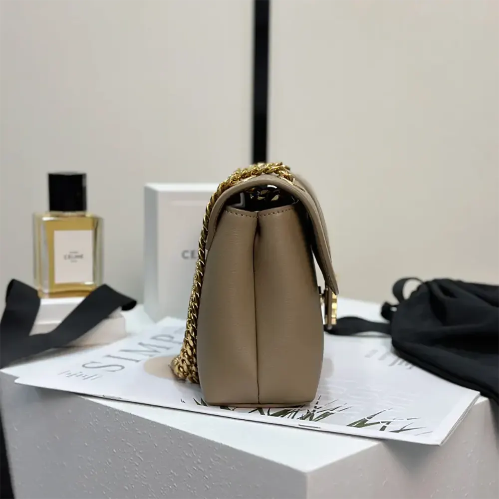 Celine Women Medium Celine Victoire Bag in Supple Calfskin 115853FDU.18BS - image 5