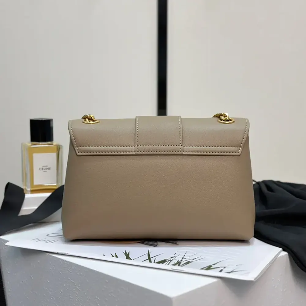 Side angle showing supple calfskin texture on Celine Women Medium Celine Victoire Bag