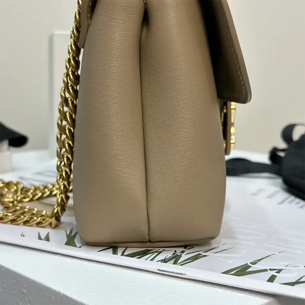 Celine Women Medium Celine Victoire Bag in Supple Calfskin 115853FDU.18BS - image 8