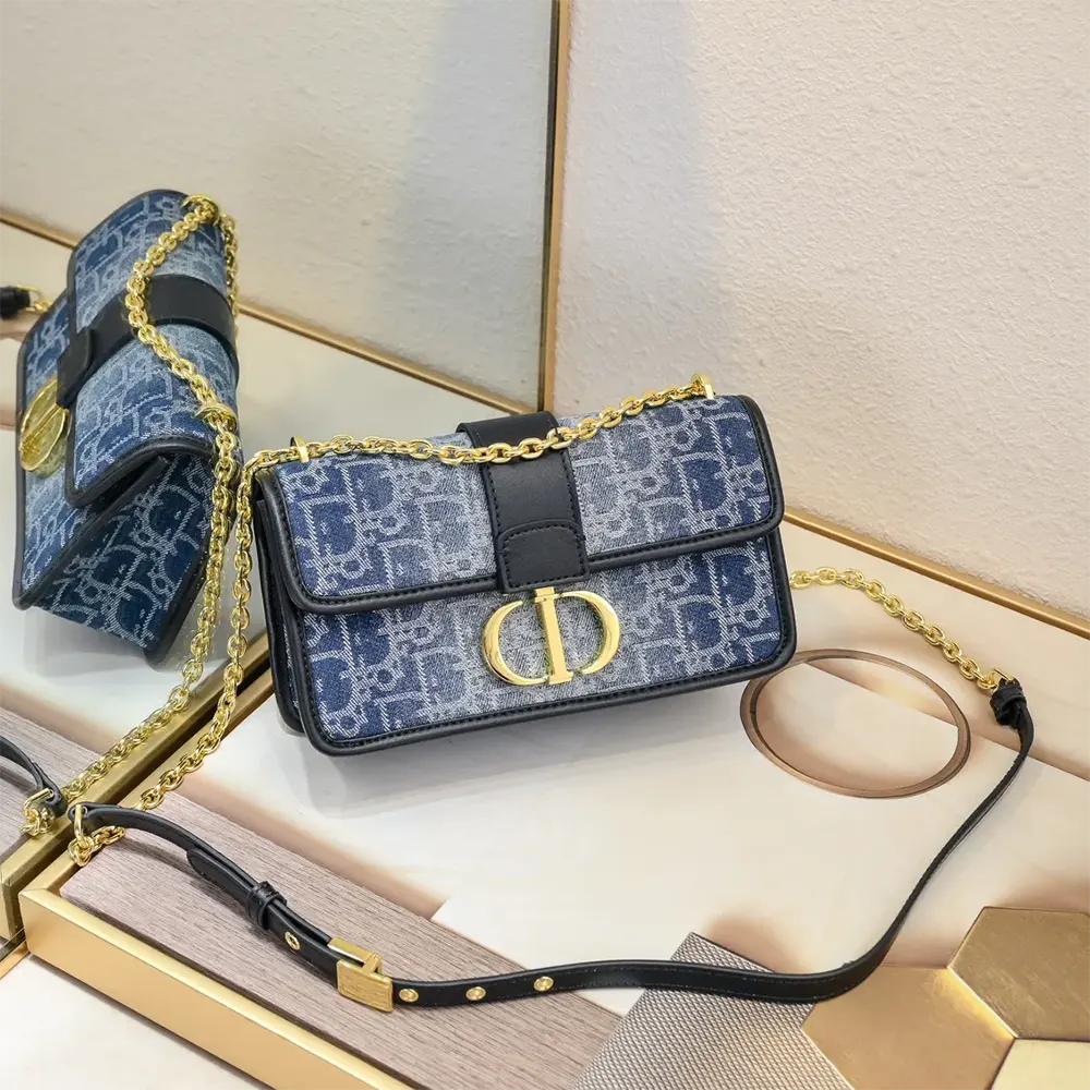Close-up of silver chain and clasp on Dior Women 30 Montaigne East-West Bag