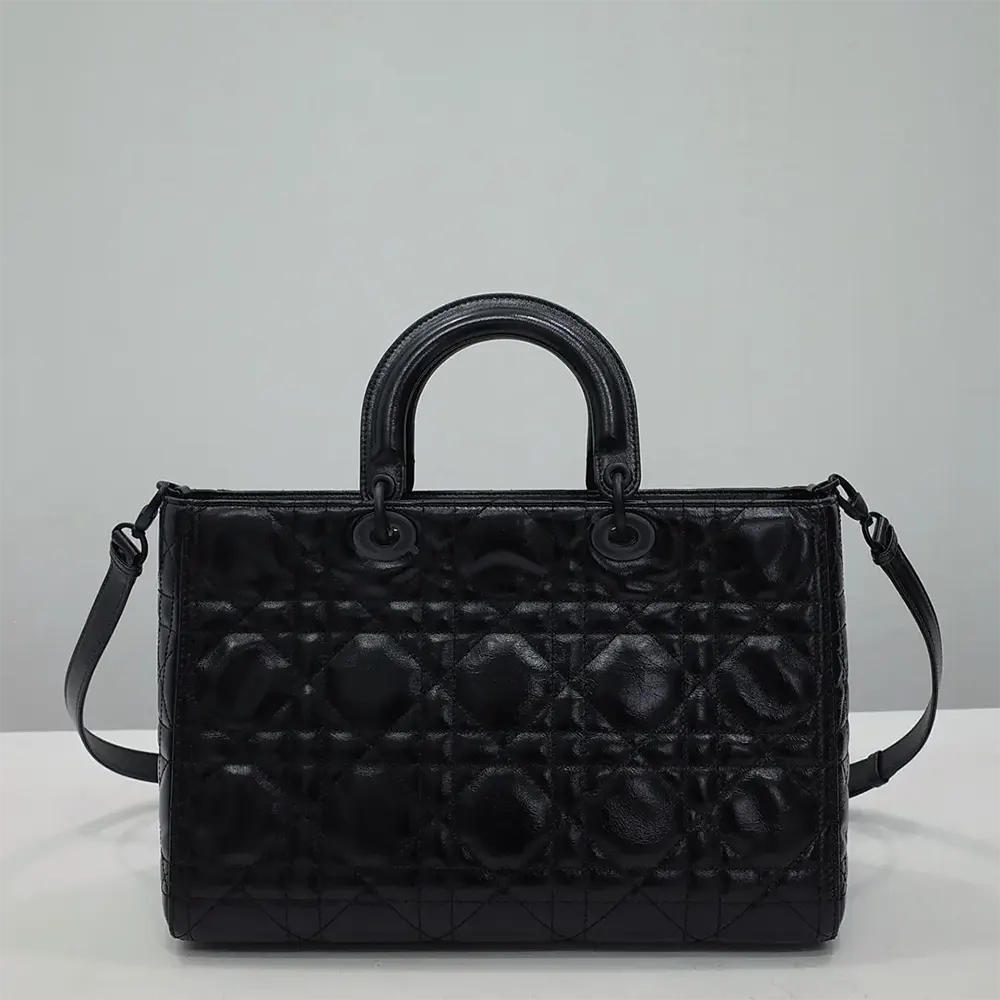 Side angle showing structured silhouette of Dior Women Large Lady D-Sire Bag