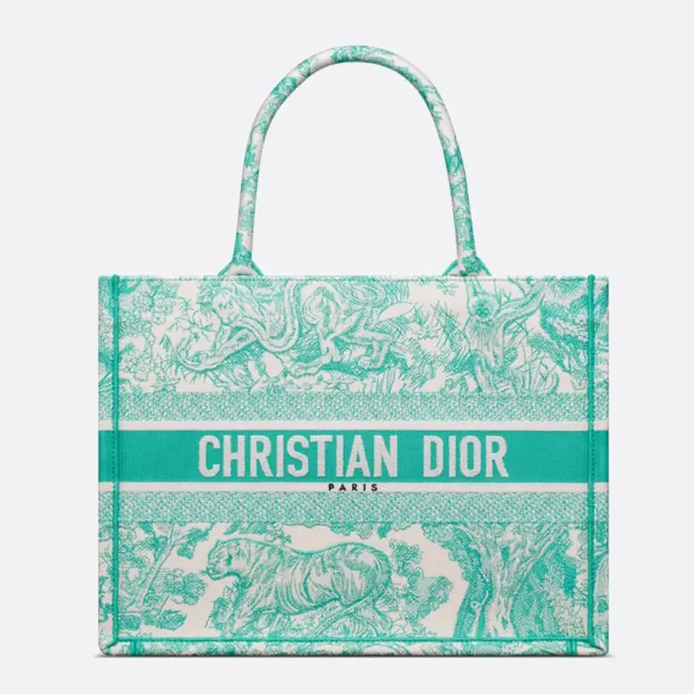 Front view of Dior Women Medium Dioriviera Dior Book Tote Aquamarina Toile de Jouy Embroidery