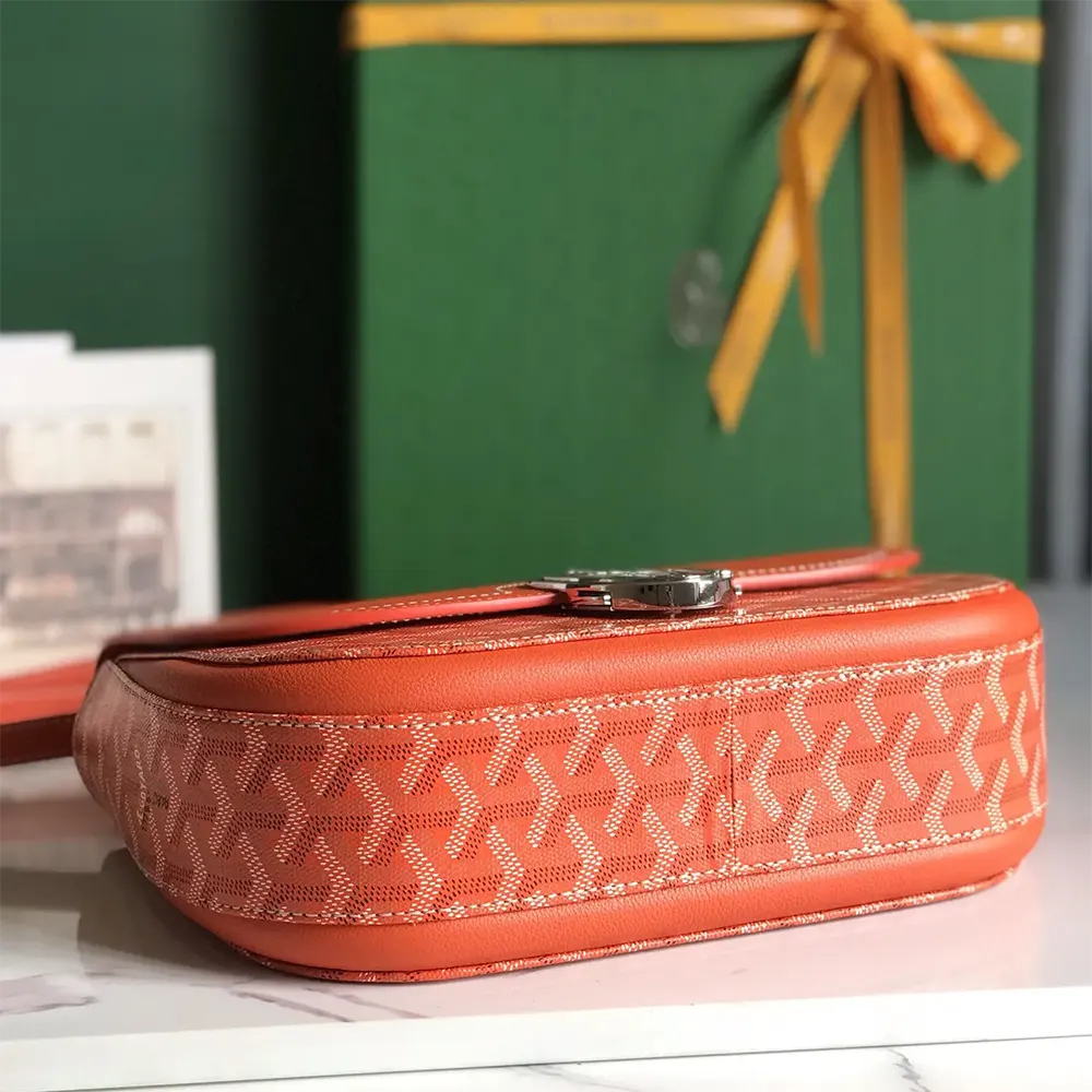 Goyard Unisex 233 Bag-Orange - image 5
