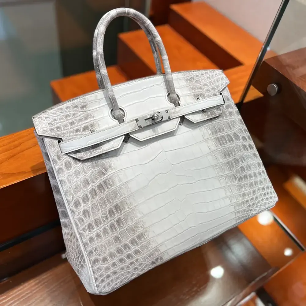 Hermes Birkin 30 Bag in Alligator Leather with Silver Hardware-White - image 4