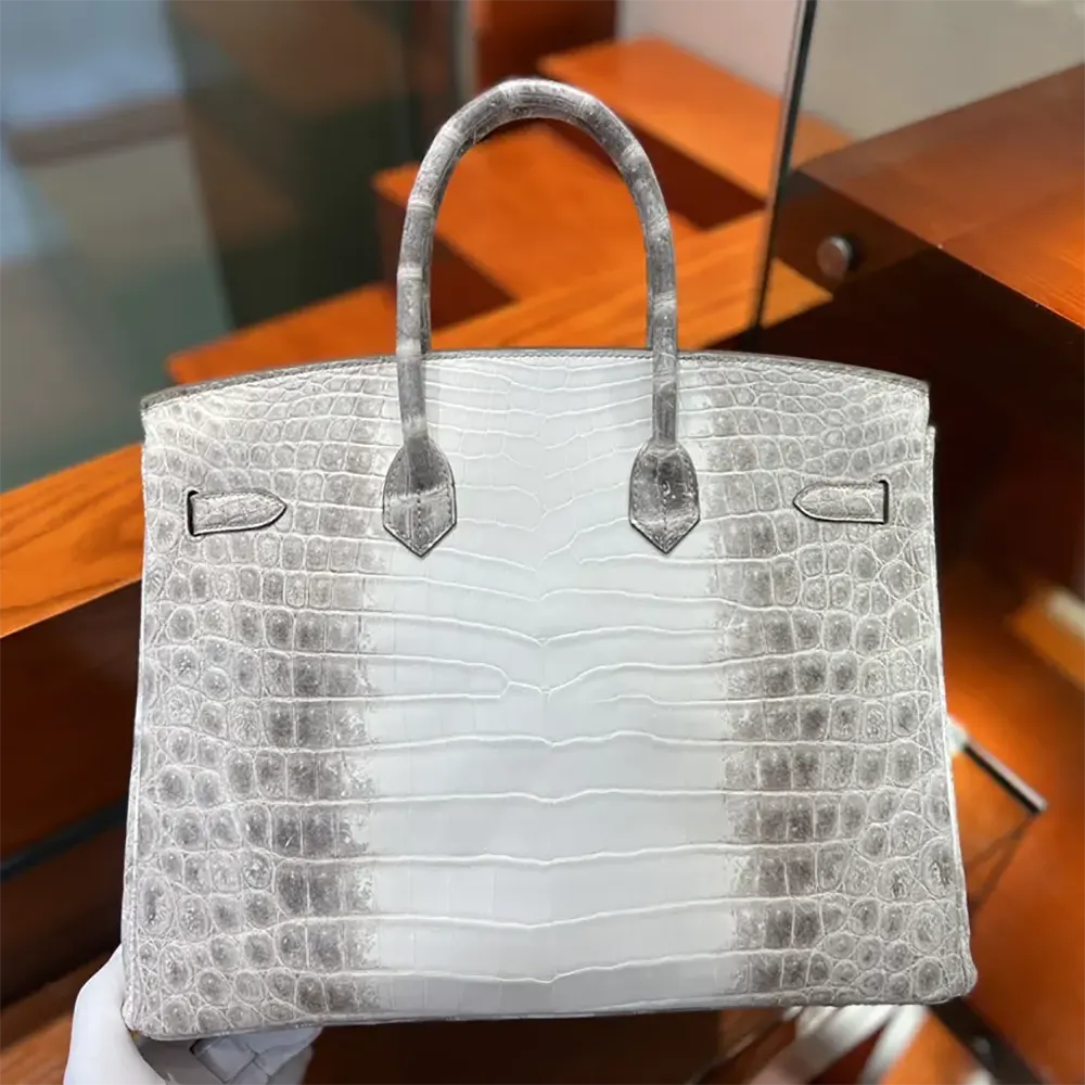 Side profile showcasing texture on Hermes Birkin 30 Alligator White