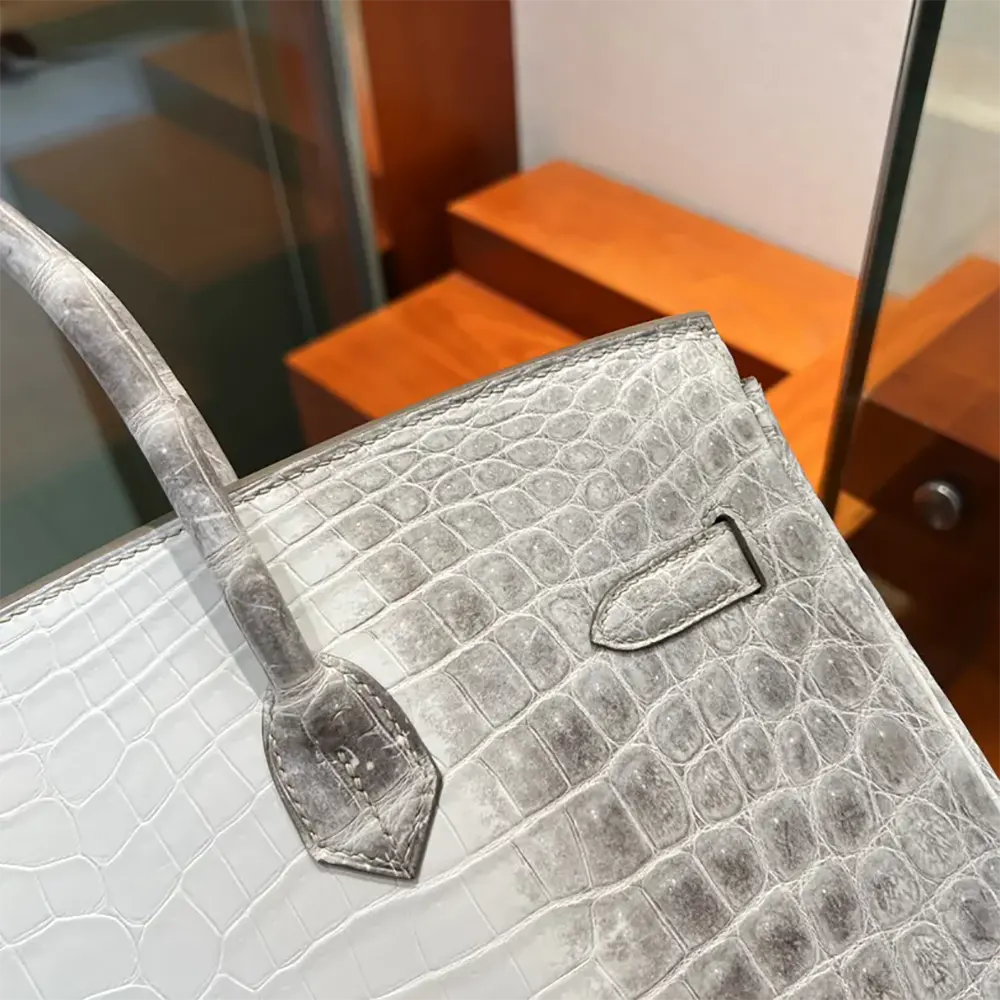 Hermes Birkin 30 Bag in Alligator Leather with Silver Hardware-White - image 5