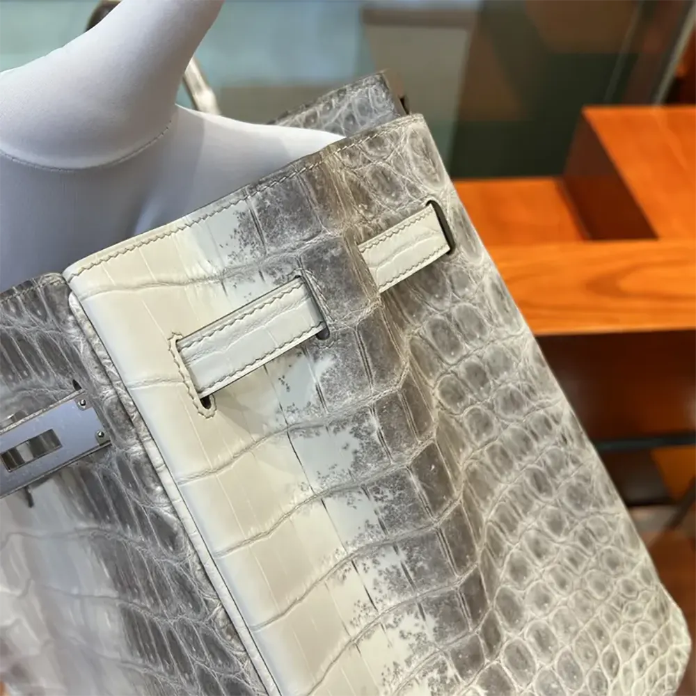Hermes Birkin 30 Bag in Alligator Leather with Silver Hardware-White - image 6
