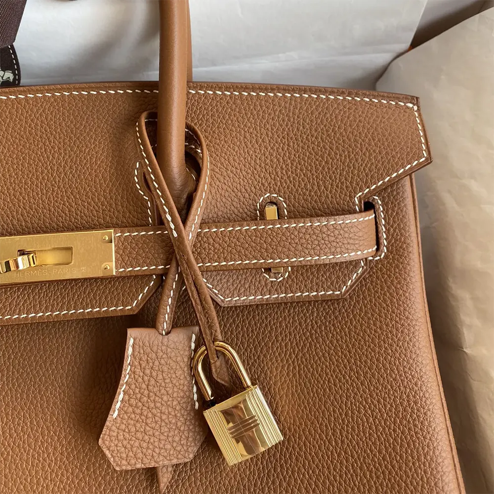 Hermes Birkin 30 Bag in Epsom Leather with Gold Hardware-Brown/Gold - image 4
