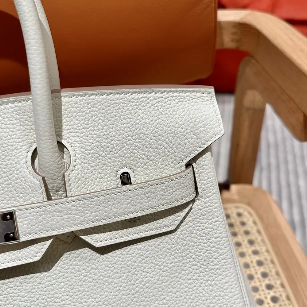 Hermes Birkin 30 Bag in Epsom Leather with Silver Hardware-White/Silver - image 5