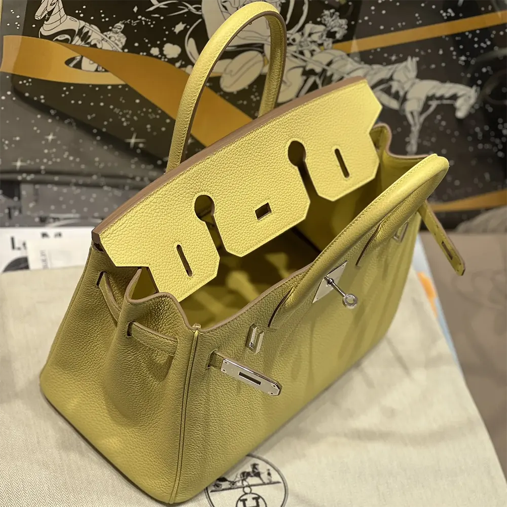 Hermes Birkin 30 Bag in Epsom Leather with Silver Hardware-Yellow/Silver - image 7