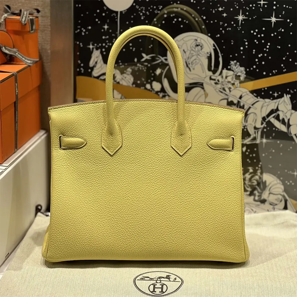 Hermes Birkin 30 Bag in Epsom Leather with Silver Hardware-Yellow/Silver - image 4
