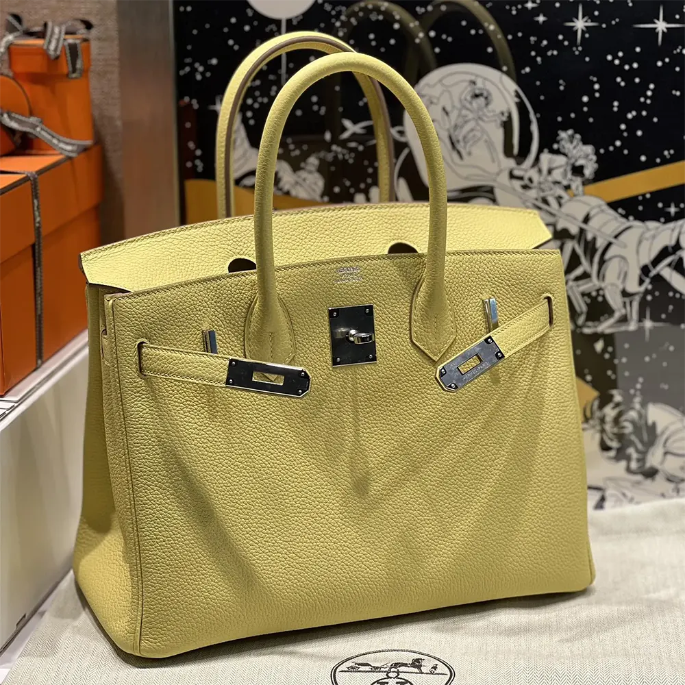 Hermes Birkin 30 Bag in Epsom Leather with Silver Hardware-Yellow/Silver - image 6